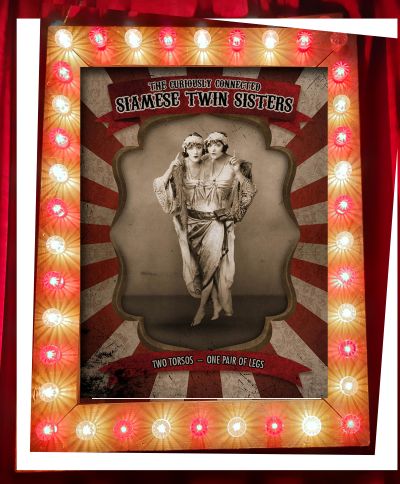 00362 A0 lichtlijst circus siamese twin
